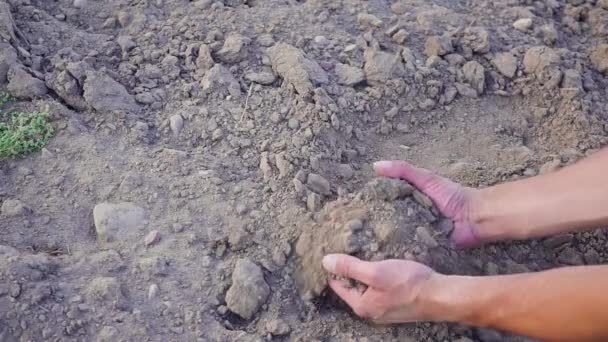 인간 손의 느린 동작 비디오에는 흙 먼지가 들어 있다. 가뭄, 비가없는 땅 — 비디오