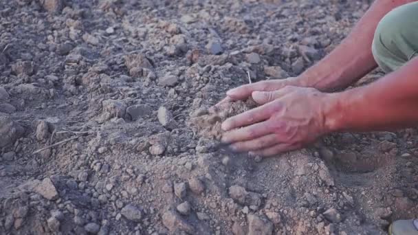 Vídeo em câmera lenta de mãos humanas segurar poeira da terra. Seca, terra sem chuva — Vídeo de Stock