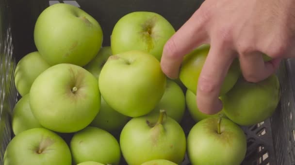 Vértes részletek láda, zöld almával, a kertben. termés gyümölcsös nyári szezonban. gyümölcs termelõ kezében sárga védőkesztyű viselése — Stock videók