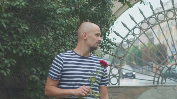 Szomorú fiatalember egy rózsával, aki egy néhai nőre vár. — Stock videók