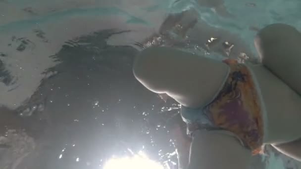 Gelukkig jongetje is samen met zijn moeder onderwater zwemmen in het zwembad. Een jonge moeder met een babyjongen zwemt in het zwembad. — Stockvideo