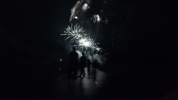 Silueta oamenilor care urmăresc focurile de artificii pe cerul nopţii. Lumini luminoase și colorate pe cer — Videoclip de stoc