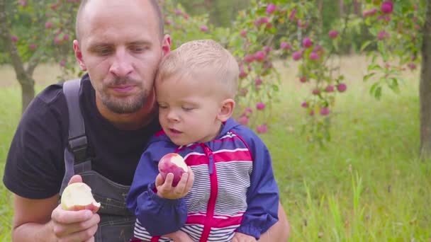 Negócio da aldeia, pai feliz com um menino comendo frutas no pomar durante a colheita — Vídeo de Stock