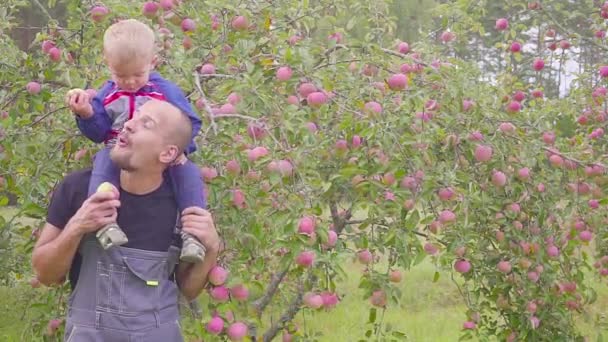 Деревенский бизнес, счастливый отец с маленьким мальчиком, который ест фрукты в саду во время уборки урожая — стоковое видео
