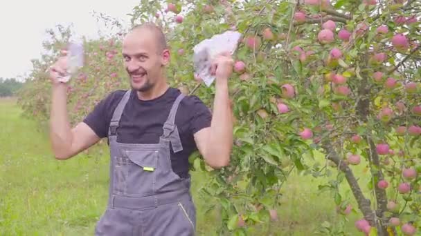 Un joven agricultor feliz y exitoso tiene mucho dinero en el huerto de manzanas y bailes. El concepto de éxito de las empresas en la agricultura . — Vídeos de Stock