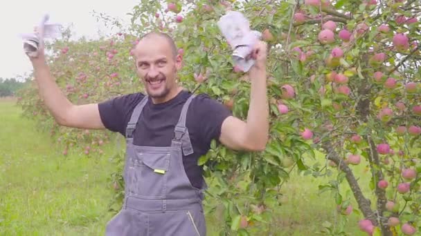 成功した幸せな若い農夫は、リンゴ園と踊りのお金のたくさんを持っています。農業ビジネスの成功のコンセプト. — ストック動画