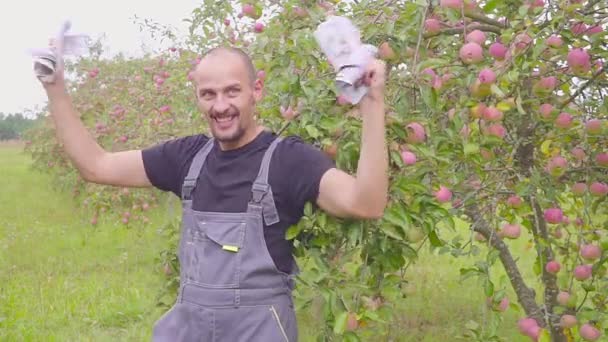 Een succesvolle gelukkig jonge landbouwer heeft een heleboel geld in de appelboomgaard en dansen. Het concept van succes van het bedrijfsleven in de landbouw. — Stockvideo