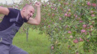 Yavaş çekim bir komik dans etmekten ve elma bahçesi çiftçi atlama. mutlu başarılı çiftçi elma mükemmel bir hasat ile orchard yakınındaki