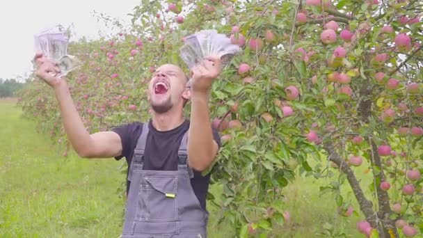 Un jeune agriculteur heureux a beaucoup d'argent dans le verger de pommes et danse. Le concept de réussite des entreprises dans l'agriculture . — Video