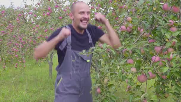 Slow motion skytte en rolig Dans och hoppning bonde i en äppelodling. glad framgångsrik bonde nära fruktträdgården med en utmärkt skörd av äpplen — Stockvideo