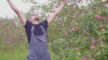 Yavaş çekim bir komik dans etmekten ve elma bahçesi çiftçi atlama. mutlu başarılı çiftçi elma mükemmel bir hasat ile orchard yakınındaki