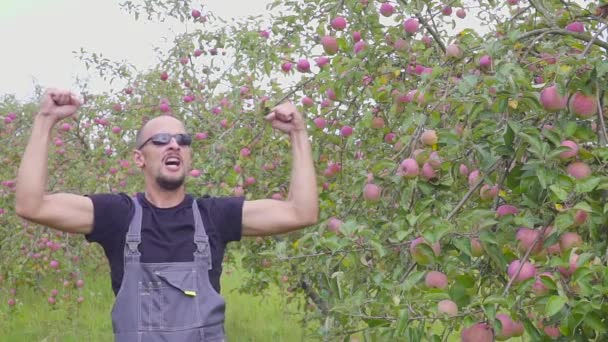 Scatto al rallentatore di un buffo contadino che balla e salta nel meleto. felice contadino di successo vicino al frutteto con un ottimo raccolto di mele — Video Stock