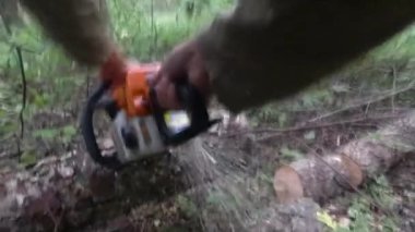 Elektrikli testere ile ağaç kesme yakın çekim görünüm. ilk kişiden