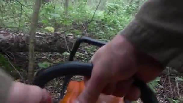 Närbild av sågning träd med motorsåg. från den första personen — Stockvideo