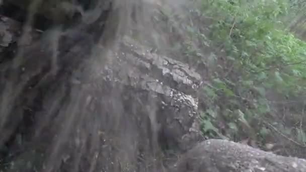 Пилить дерево бензопилой. опилки летят в камеру. от первого лица — стоковое видео