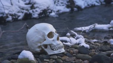 insan kafatası River. vahşi cinayet kavramı