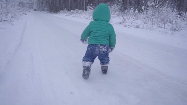 Niño pequeño camina y juega en la madera nevada, niño caminando en el bosque de invierno cámara lenta — Vídeos de Stock