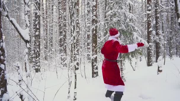 Szczęśliwy Santaklaus skacze, tańce i raduje się w zimowym lesie. Zwolnionym tempie — Wideo stockowe