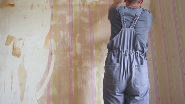 Робітник знімає шпалери зі стін. Ремонт в квартирі — стокове відео