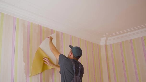 O trabalhador tira o papel de parede das paredes. Reparação no apartamento — Vídeo de Stock