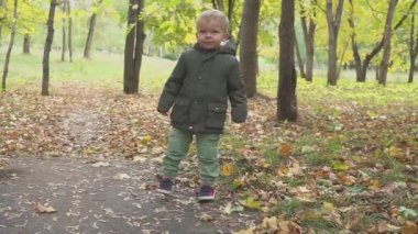 İki yıl yaşlı çocuk sonbahar ormanda çalışan yavaş hareket park