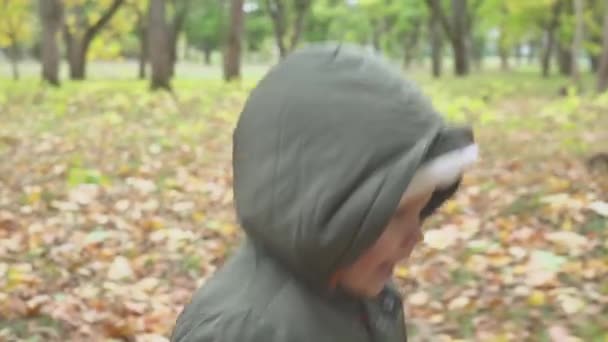 Dois anos de idade menino correndo na floresta de outono, parque câmera lenta — Vídeo de Stock