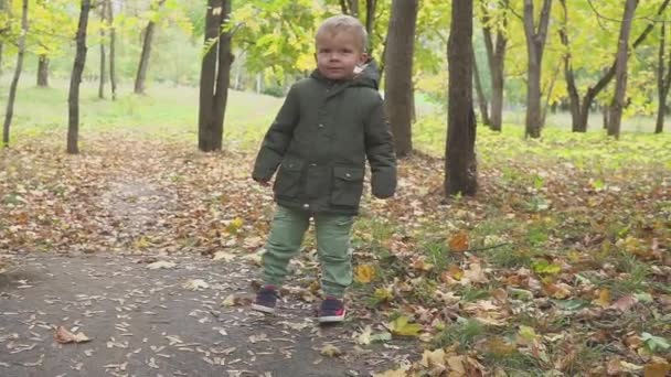 Garçon de deux ans courant dans la forêt d'automne, parc au ralenti 