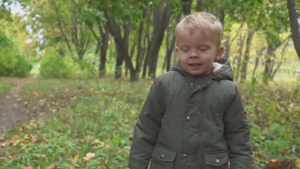 Garçon de deux ans courant dans la forêt d'automne, parc. au ralenti 