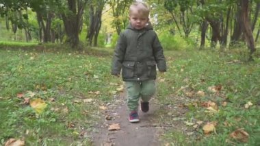 İki yıl yaşlı çocuk sonbahar ormanda çalışan yavaş hareket park