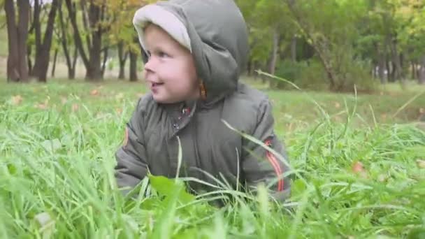 Дворічний хлопчик біжить в осінньому лісі, парк — стокове відео