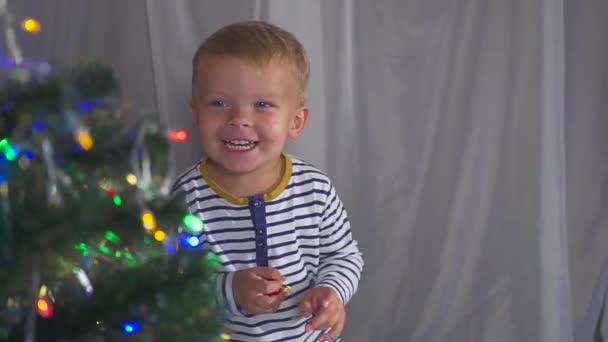 Zweijähriger Junge spielt mit Weihnachtsspielzeug am Weihnachtsbaum, aus nächster Nähe. Porträt eines Kindes neben einem Weihnachtsbaum. — Stockvideo