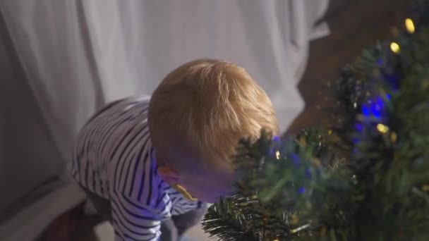 Bambino di due anni che gioca con i giocattoli di Natale sull'albero di Natale, da vicino. Ritratto di un bambino vicino a un albero di Natale . — Video Stock