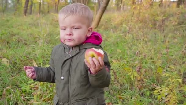 Lindo bebé en el parque de otoño con hojas amarillas comiendo una manzana . — Vídeos de Stock