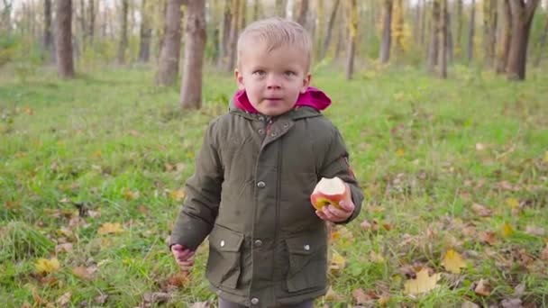 Bebê pequeno bonito no parque de outono com folhas amarelas comendo uma maçã . — Vídeo de Stock