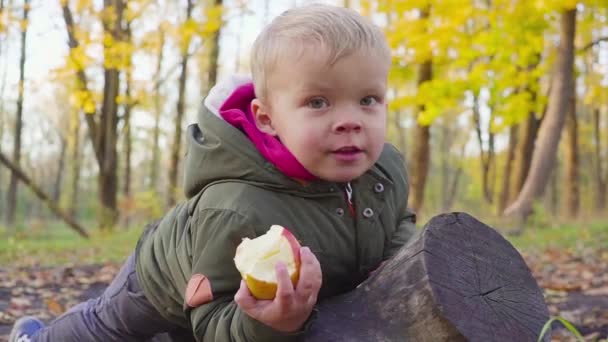 mignon petit bébé dans le parc d'automne avec des feuilles jaunes manger une pomme .