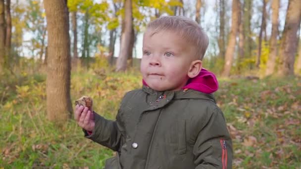 Portrait en plein air d'adorable tout-petit garçon dans le parc d'automne, s'amuser et manger un biscuit .