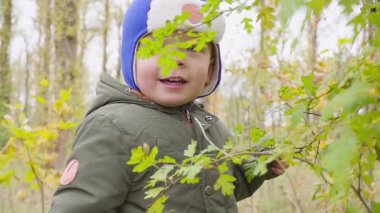 Sonbahar parkta oynarken ve gülümseyen bir çocuk portresi