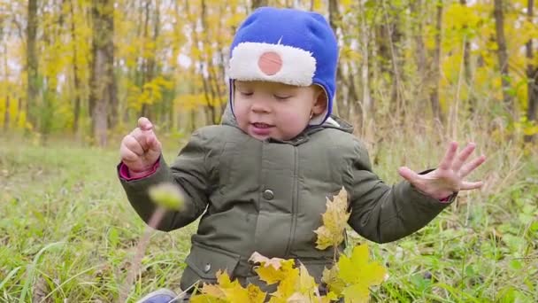 portrait d'un garçon qui joue dans le parc d'automne et sourit .
