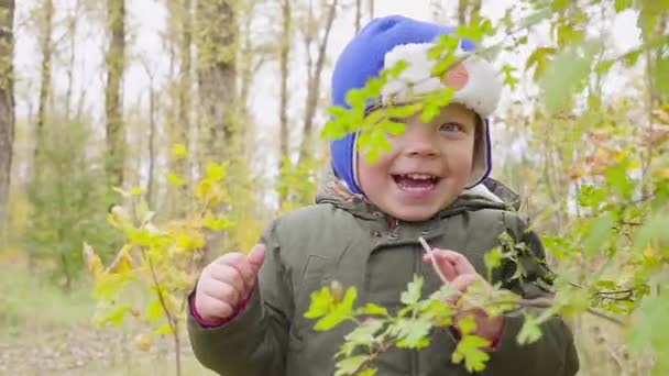 Retrato de um menino que está brincando no parque de outono e sorrindo — Vídeo de Stock