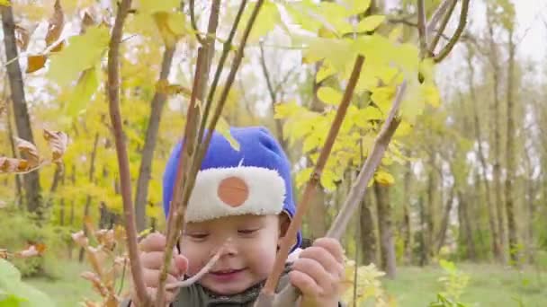 portrait d'un garçon qui joue dans le parc d'automne et sourit 