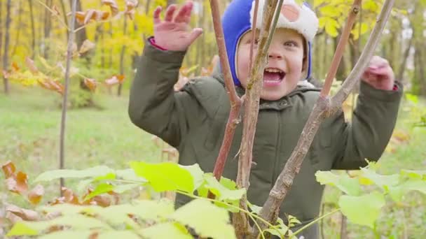 Egy fiú, aki játszik az őszi parkban, és mosolyogva portréja — Stock videók