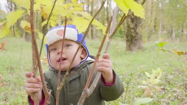 portrait d'un garçon qui joue dans le parc d'automne et sourit 