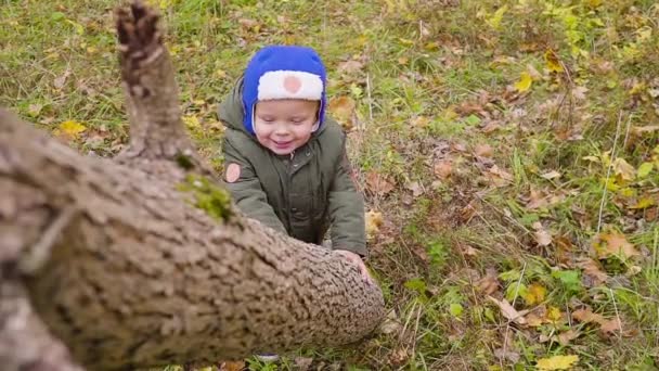 portrait d'un garçon qui joue dans le parc d'automne et sourit. Garçon regarde par derrière un tronc d'arbre 