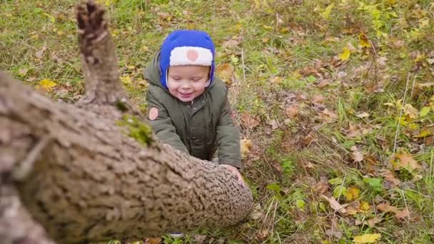 Retrato de un niño que está jugando en el parque de otoño y sonriendo. Chico mira desde detrás de un tronco de árbol — Vídeos de Stock