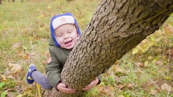 Retrato de um menino que está brincando no parque de outono e sorrindo. Rapaz olha por trás de um tronco de árvore — Vídeo de Stock