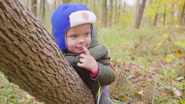 Портрет Хлопчика Який Грає Осінньому Парку Посміхається Хлопчик Дивиться Стовбура — стокове відео