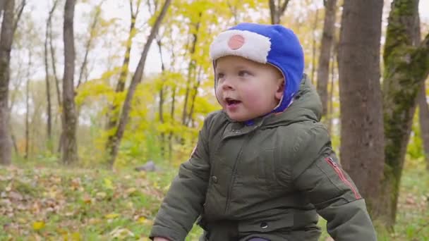 Portret chłopca, który jest gra w parku jesień i uśmiecha się. Chłopiec wychodzi zza pnia drzewa — Wideo stockowe
