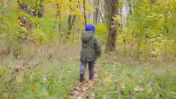 Милый мальчик в зеленой куртке бегать среди опавших листьев в осеннем парке — стоковое видео