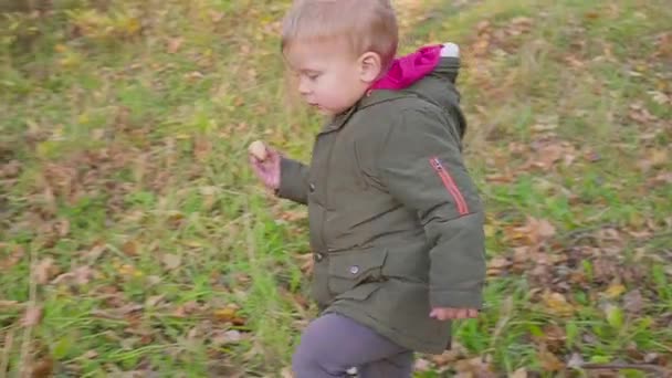 Portrait en plein air d'adorable tout-petit garçon dans le parc d'automne, s'amuser et manger un biscuit . — Video