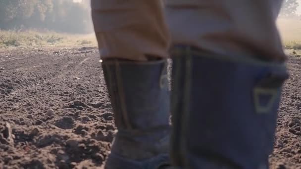 Hombre cultivar manualmente la tierra con una azada día soleado de cerca — Vídeo de stock